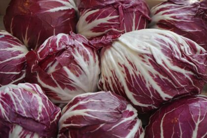 Radicchio rosso al vapore