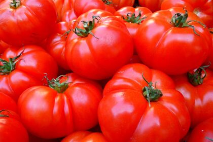 Pomodori al forno ripieni