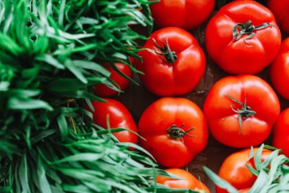 pomodori con riso del Lazio